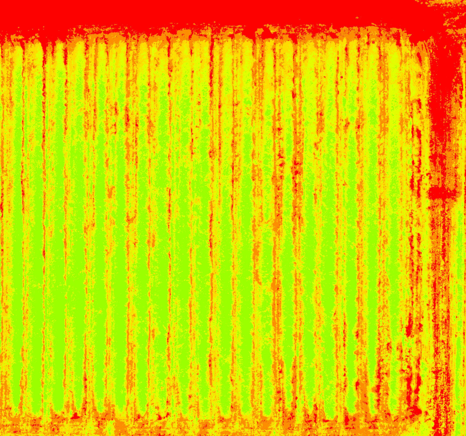 Blueberry field NDVI